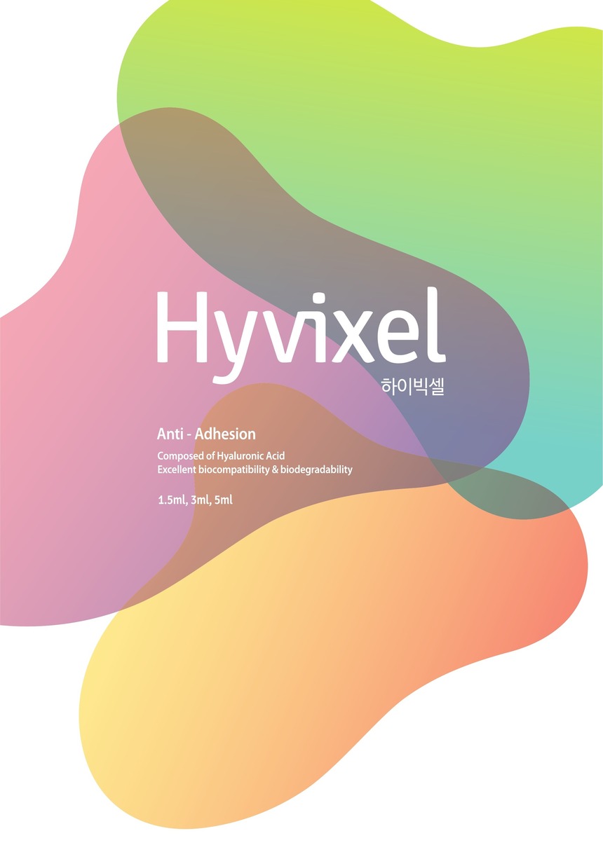 Hyvixel_브로셔_1페이지.jpg