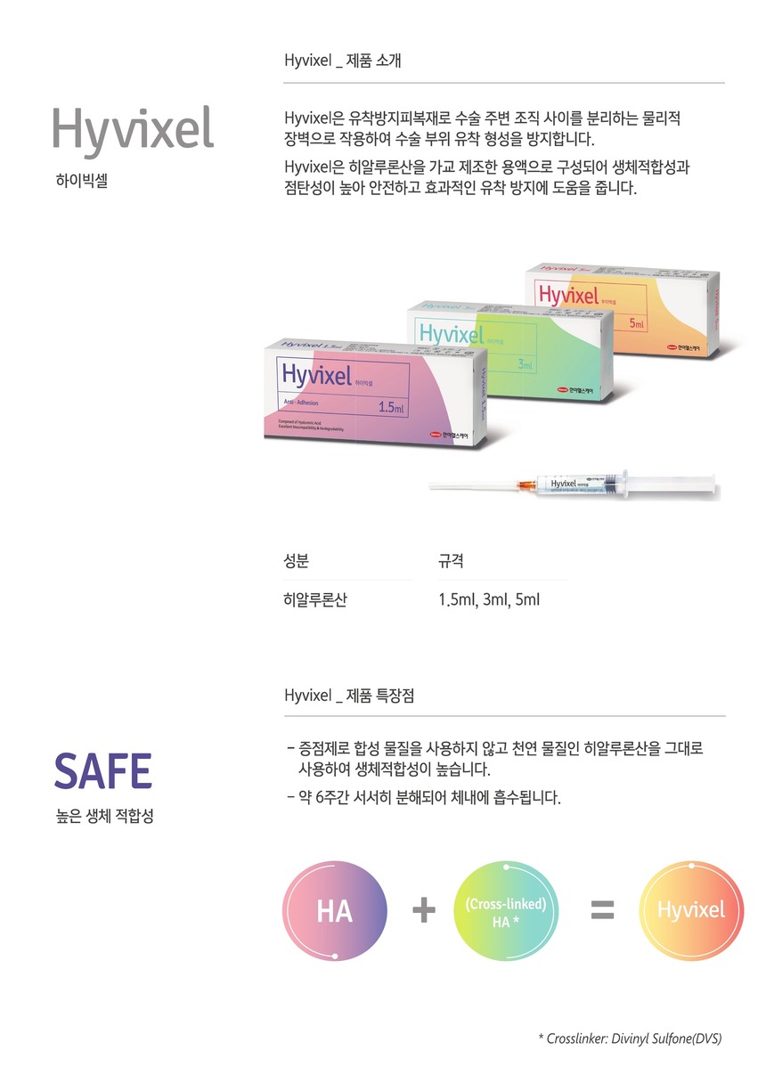 Hyvixel_브로셔_2페이지.jpg
