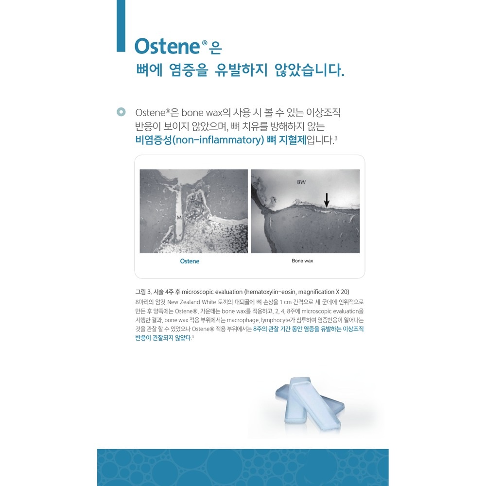 Ostene_1000x1000_no_footer_logo_04.jpg
